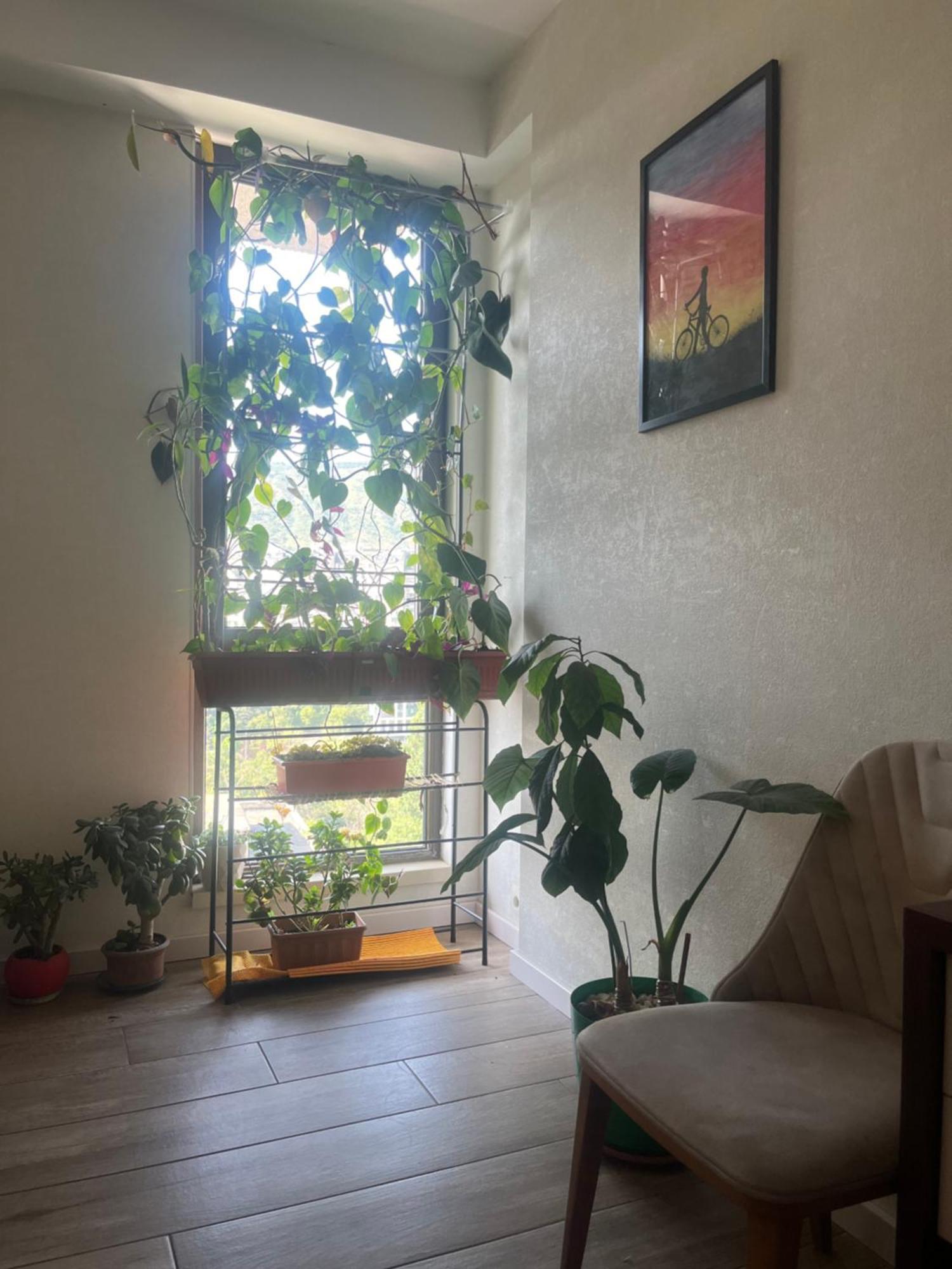 Panorama Khiliani Διαμέρισμα Τυφλίδα Εξωτερικό φωτογραφία